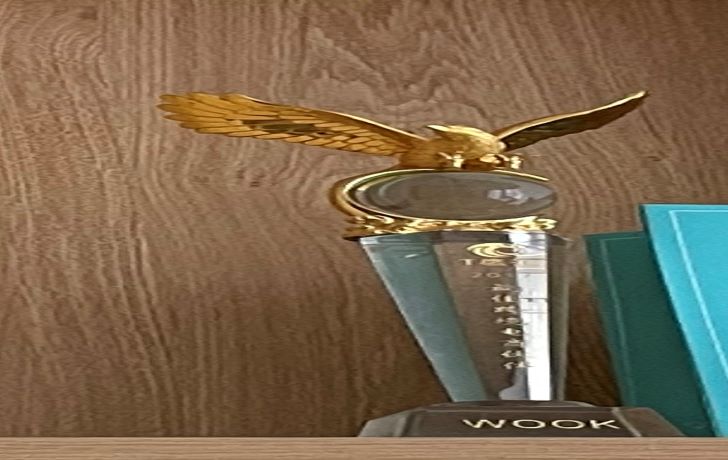 2017 Best Cross-border E-commerce Partner-T Eagle